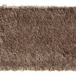 Bold Indulgence carpet - 040